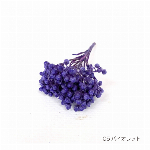 花材 ライスフラワー ピンク プリザーブドフラワー