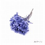 花材 ライスフラワー バイオレット プリザーブドフラワー