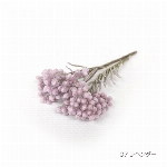 花材 ライスフラワー パープル プリザーブドフラワー
