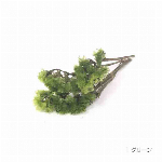 花材 スモーキースターチス ライトグリーン プリザーブドフラワー