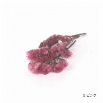 花材 スモーキースターチス ライトピンク プリザーブドフラワー