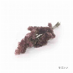 花材 スモーキースターチス ブルー プリザーブドフラワー
