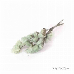 花材 スモーキースターチス イエロー プリザーブドフラワー