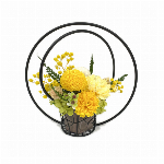 あけぼの グリーン ホワイト プリザーブドフラワー フラワーアレンジメント マム..