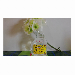 Dream消臭液『フラッシュ』スプレータイプ　300ml 