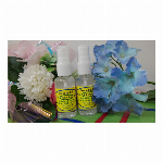 Dream消臭液『フラッシュ』プチスプレータイプ　30ml 