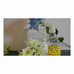 Dream消臭液『フラッシュ』スプレータイプ300ml ＋詰替え1Lセット