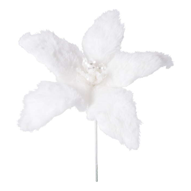 photo1