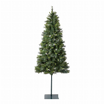 ミニエトカザリ キ