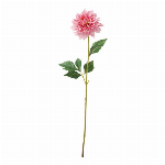 たおやめ桜