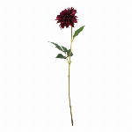 大提灯桜