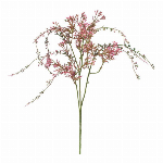つぼみ菊バンチ×3