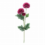 つぼみ菊バンチ×3