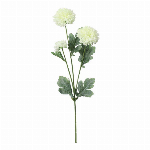 つぼみ菊バンチ×3