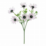 シングルピンポンマム