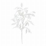 菜の花