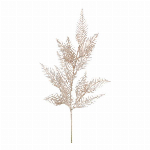南天