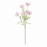 開花桜