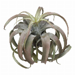 ペールカラーフラワー組花M