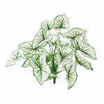 ラナン組花