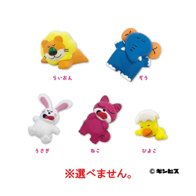 photo2
