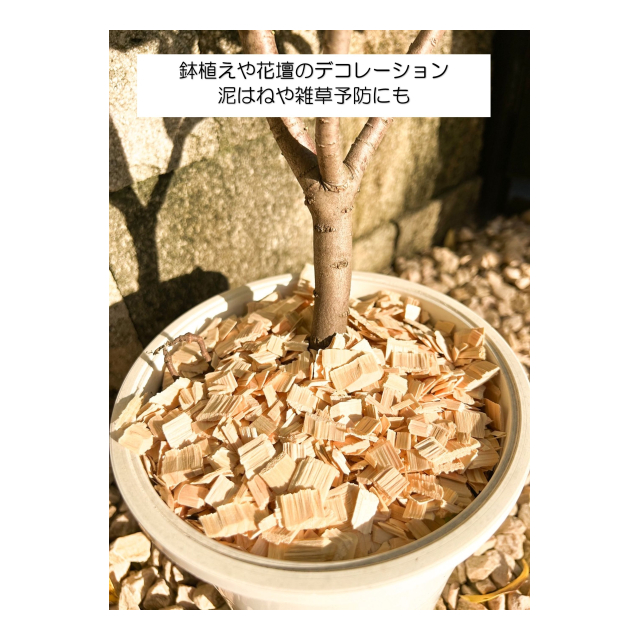 photo3