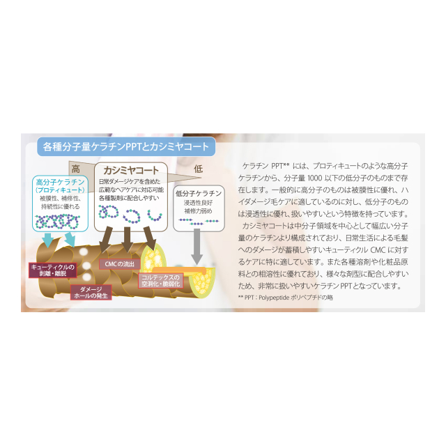 photo4