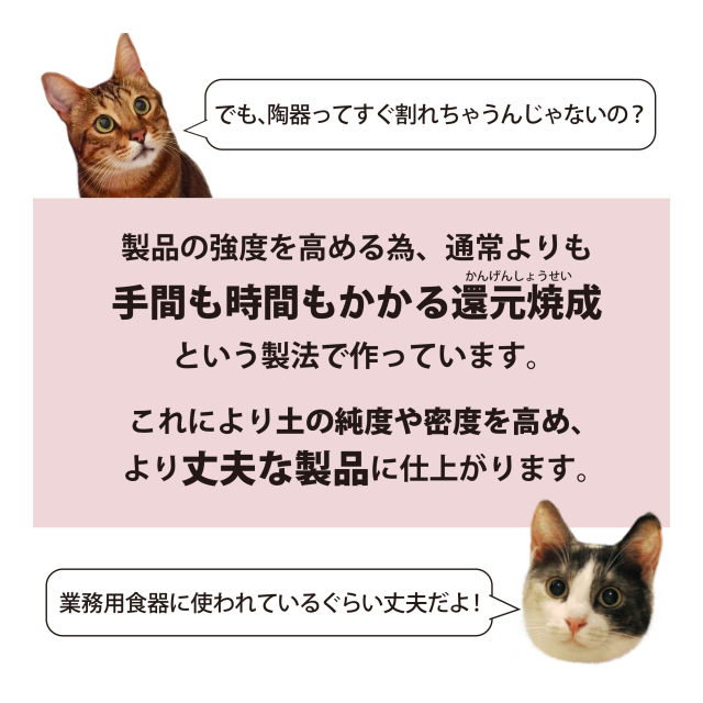 photo5
