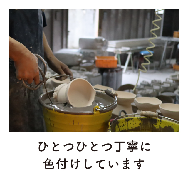 photo7