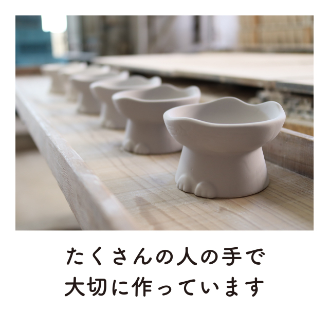 photo8