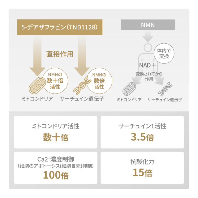 photo5