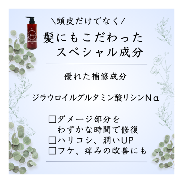 photo5