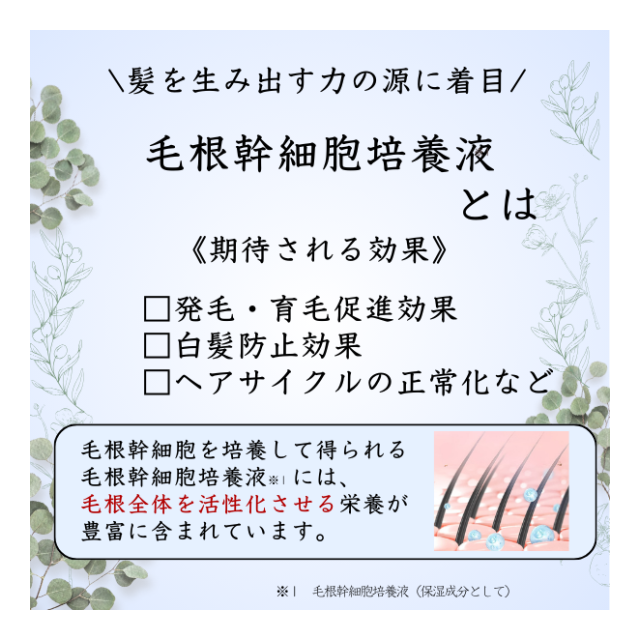 photo4