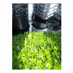 大和抹茶　加工用20kg