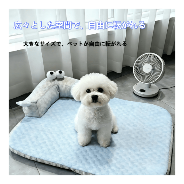 photo4