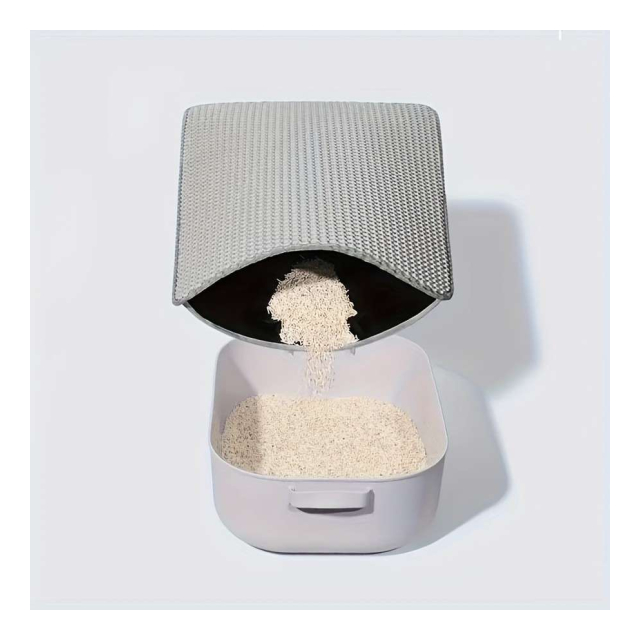 photo5