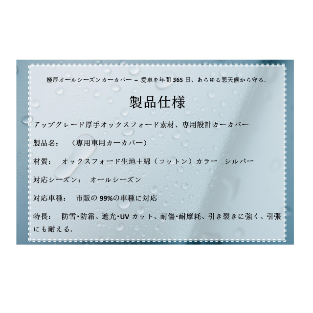 photo8