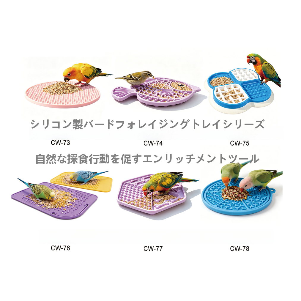 photo1