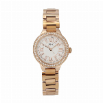 I＆W Carnival 腕時計   IW603LDA-1G アイアンドダブリューカーニバル