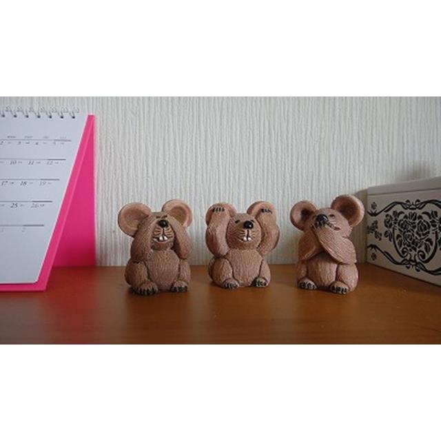 photo6