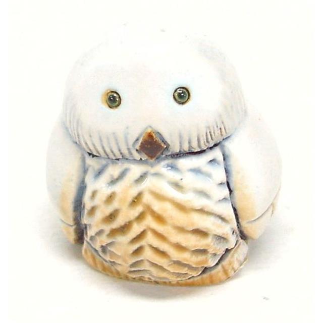 白フクロウ子供
