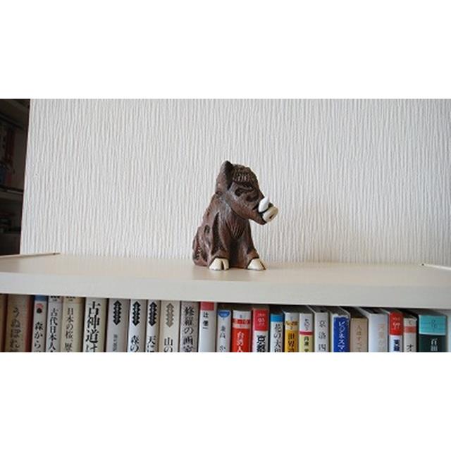 photo5
