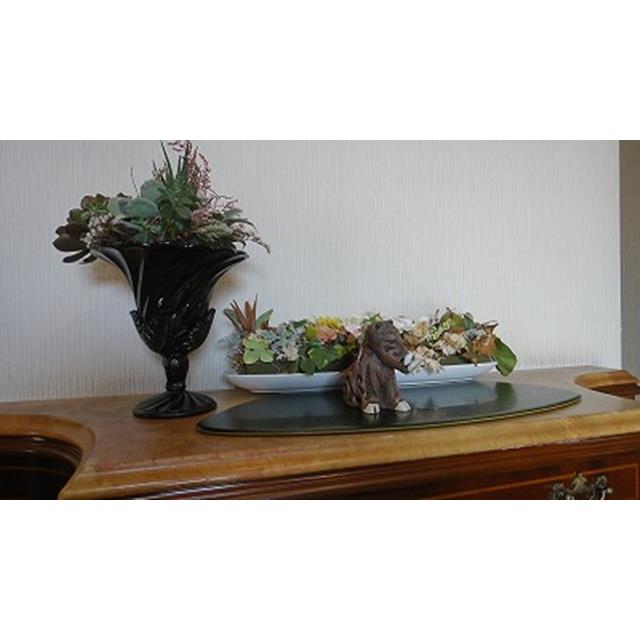 photo6