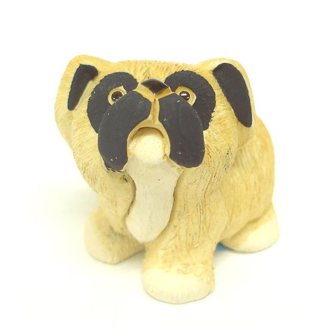 ボクサー子犬