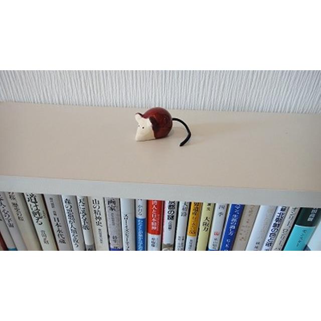 photo6