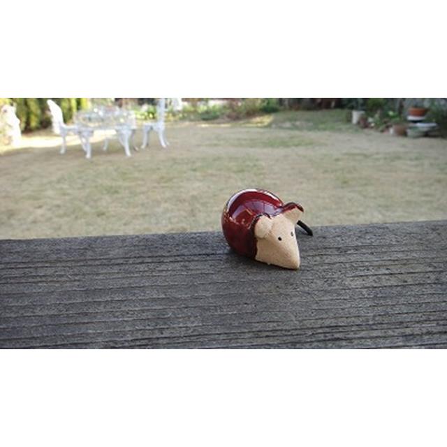 photo8