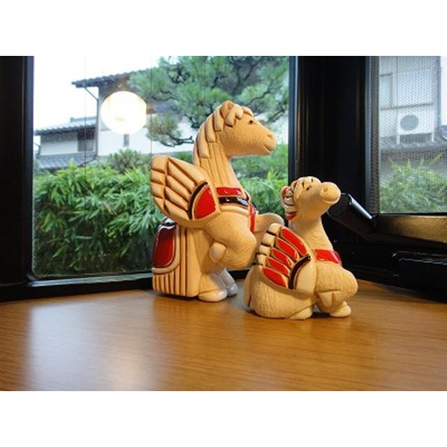 photo7