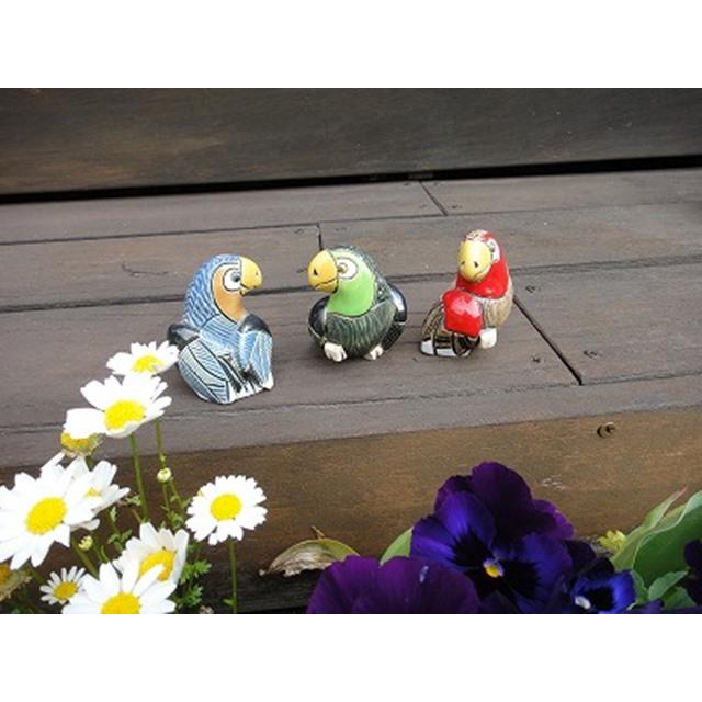 photo7
