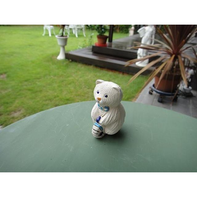 photo5