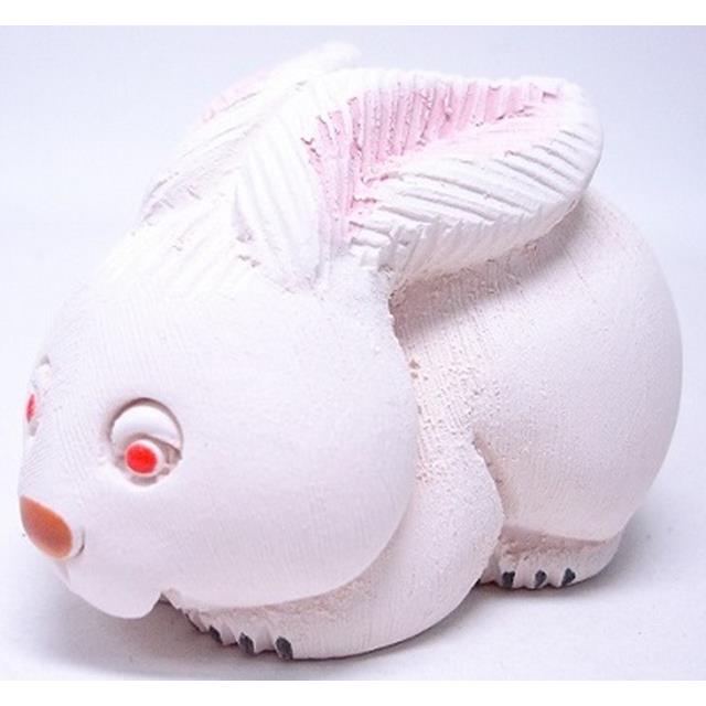 ウサギ